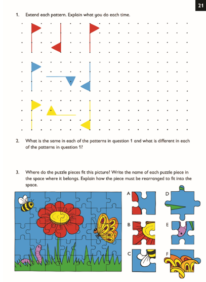 NumberSense Companion Grade 5 Workbook