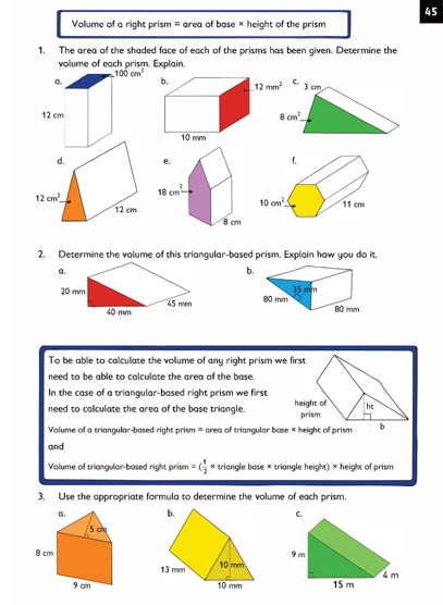NumberSense Companion Grade 7 Workbook