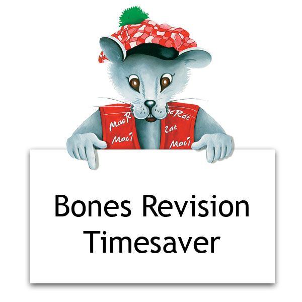 Bones:  Lord of the Flies