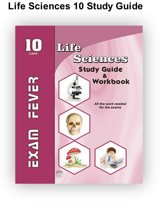Exam Fever Life Sciences Grade 10