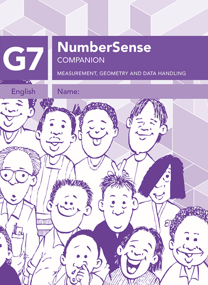 NumberSense Companion Grade 7 Workbook