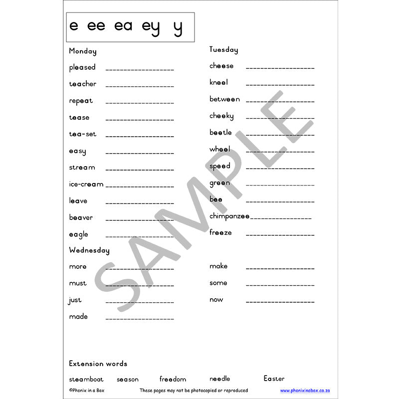 Grade 3 Phonic Workbook (Primary Font)